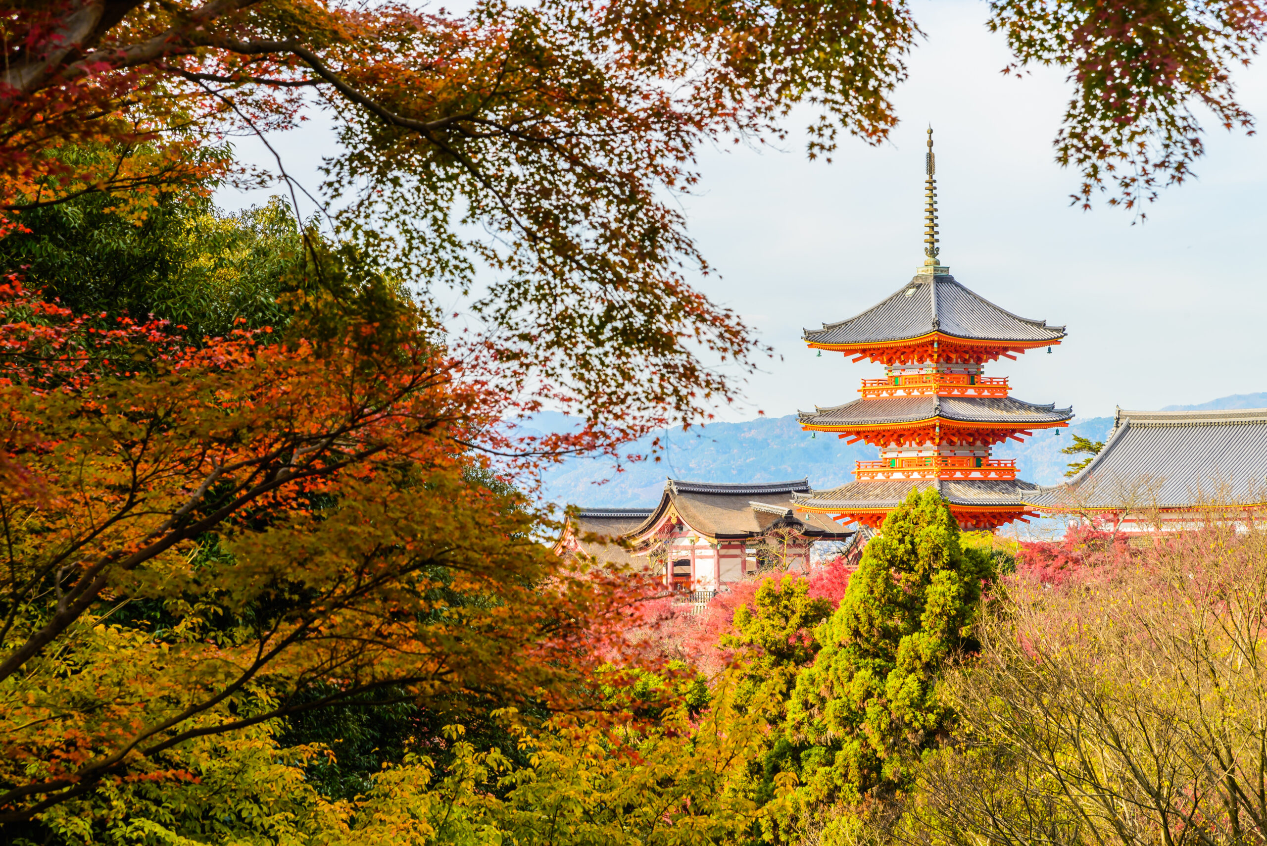 Kyoto, Japan – The Best Things to Do and See